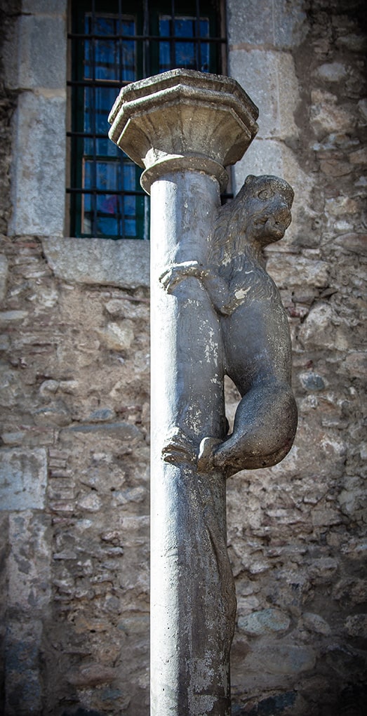 Girona lionne